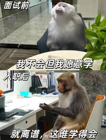 面试官与考生眼神交流微表情特写对比图