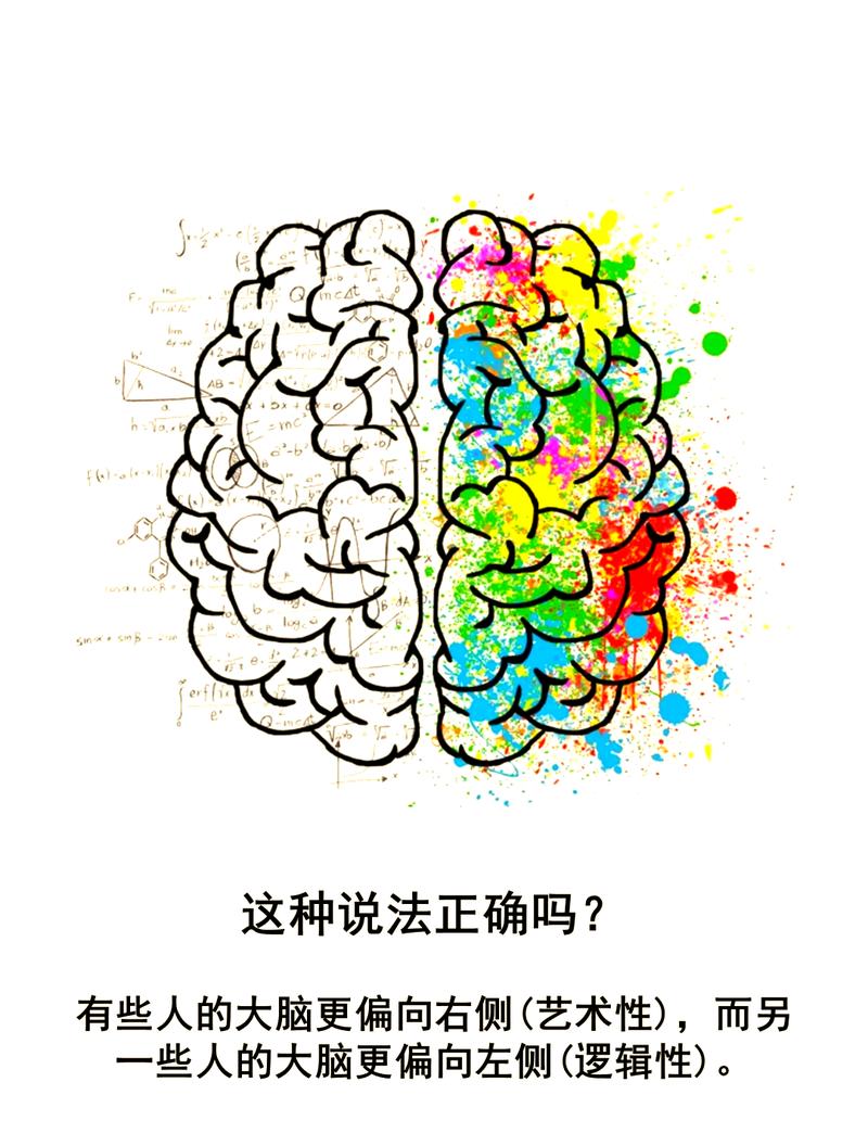 大脑左右半球分析争议证据插画图