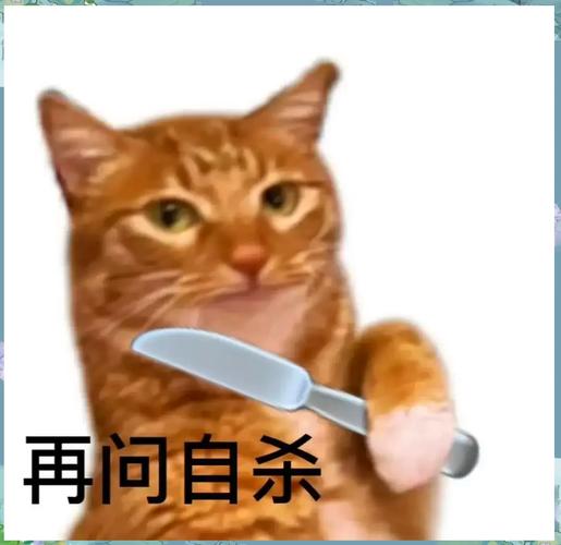 调剂前的自我拷问