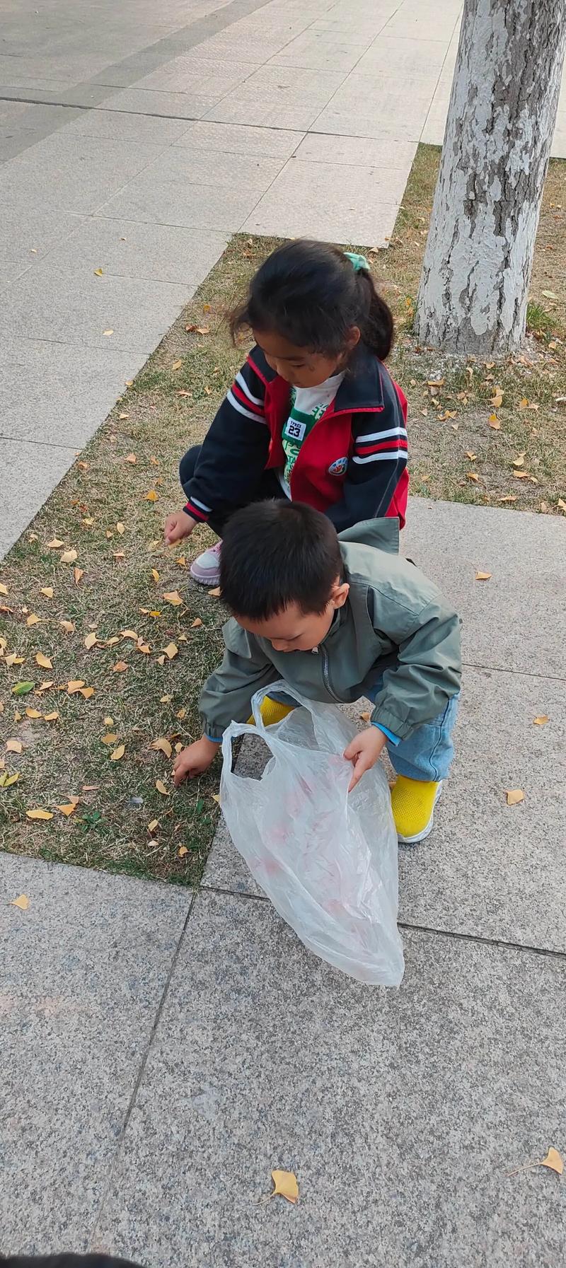 家长带幼儿公园捡落叶早教场景