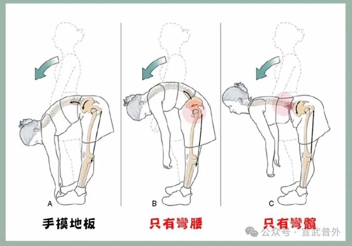 不同日常场景的弯腰发力技巧