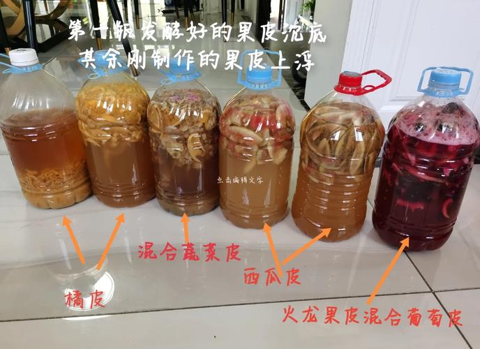儿童家庭实验透明罐子果皮堆肥