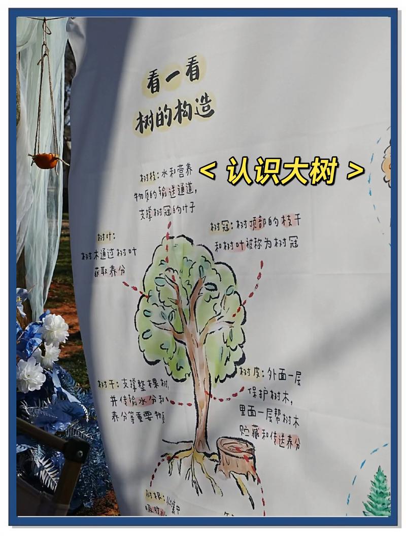 四个不用花钱的小游戏，带孩子读懂森林生态系统