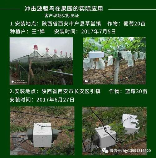 南京桃农手机收到的土壤墒情浇水提醒短信