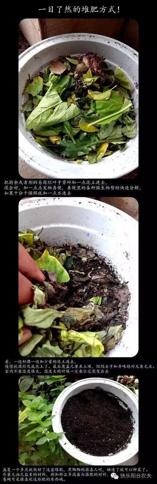 落叶堆肥步骤图解