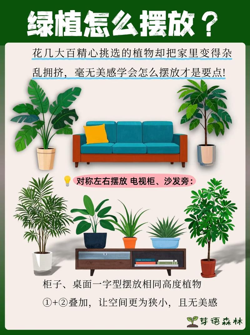 🪴 绿植越多越好?放错位置招阴