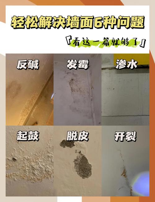 墙面漆验收与后期保养问题