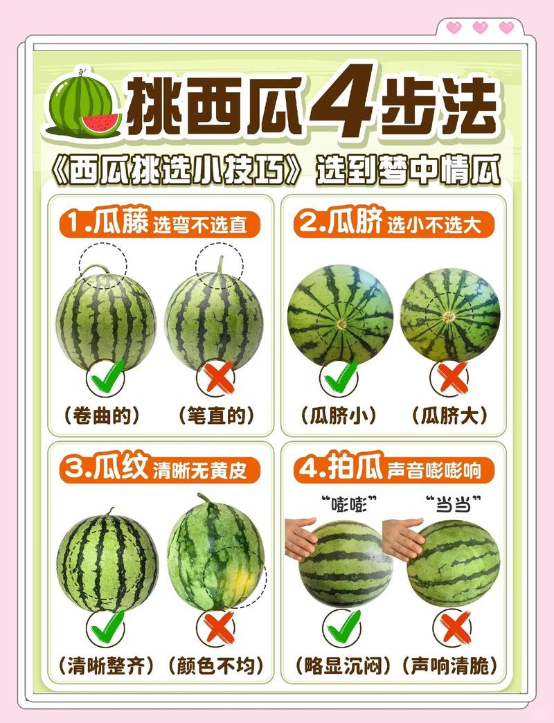 怎么挑、怎么吃？避坑指南