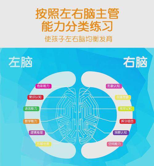 儿童平衡协调发展大脑激活示意图