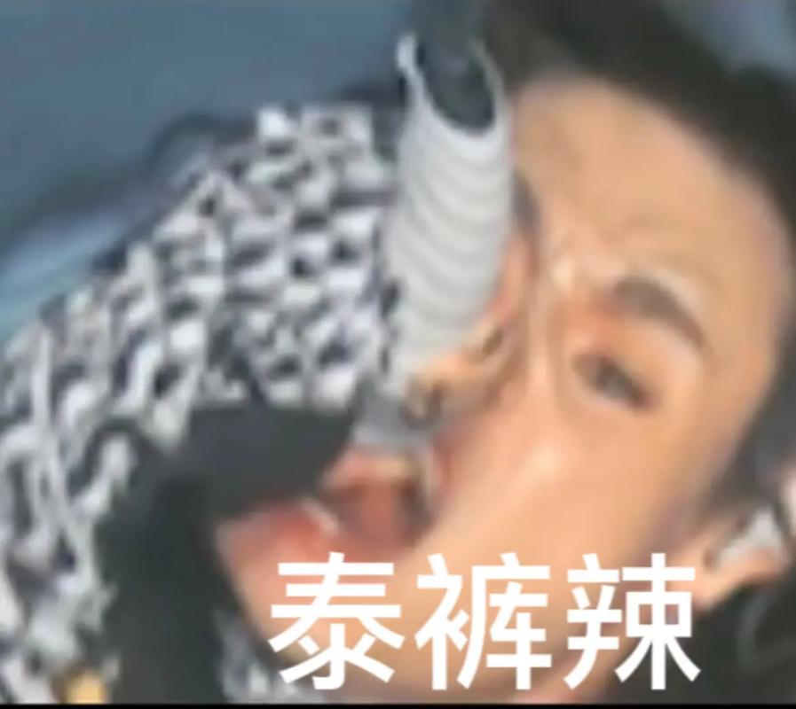 网络热梗“泰裤辣”表情包截图
