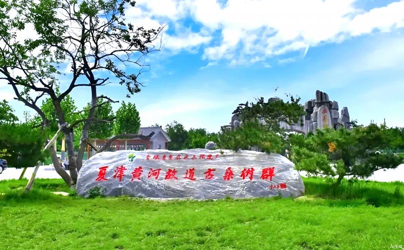 德州夏津黄河故道古桑林里的沙土路