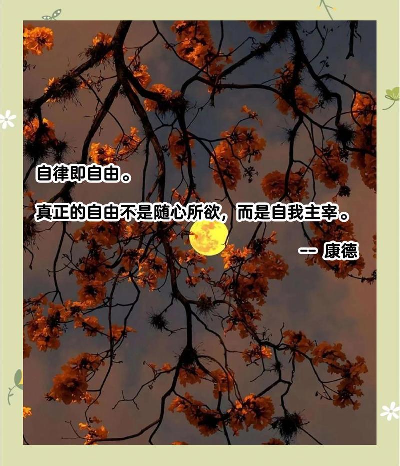 自由,才是开源的真谛
