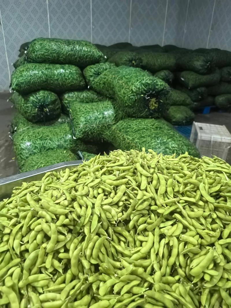 菜市场新鲜毛豆荚堆特写
