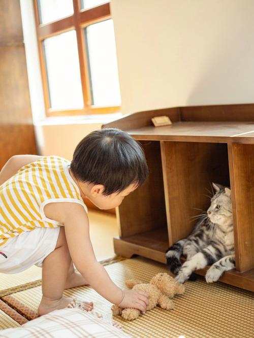 幼儿和猫在爬行垫上互动温情时刻