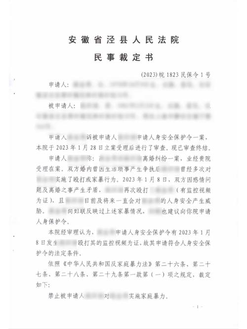 法院出具的人身安全保护令公告实拍