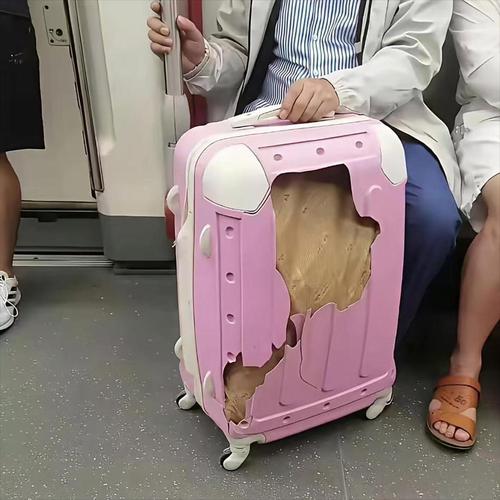 个人怪癖：我的行李箱里一定有这些