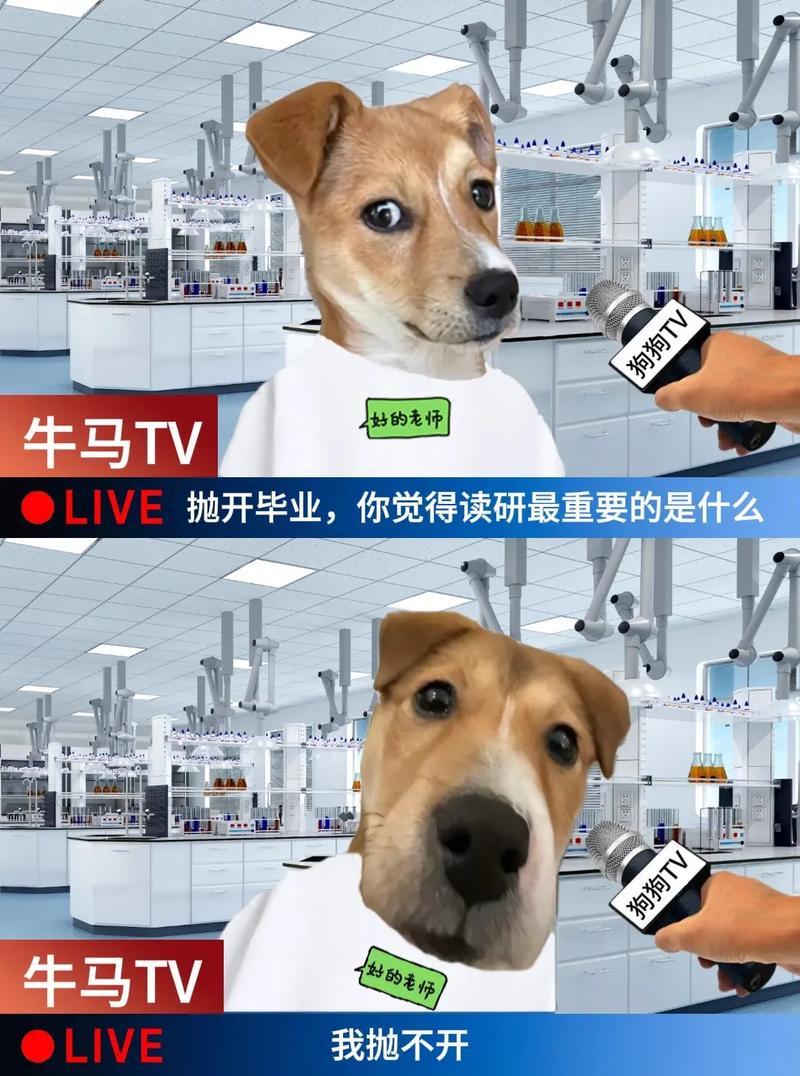 科学家早就“实锤”了,狗会做梦