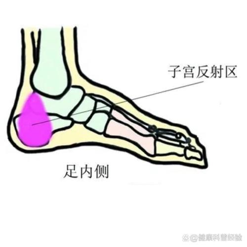 踩烂的原始反射误区，每个都反直觉