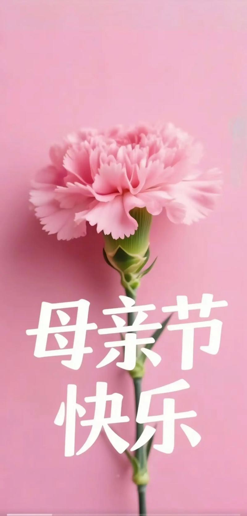 每天花三十秒查一遍，比什么都强