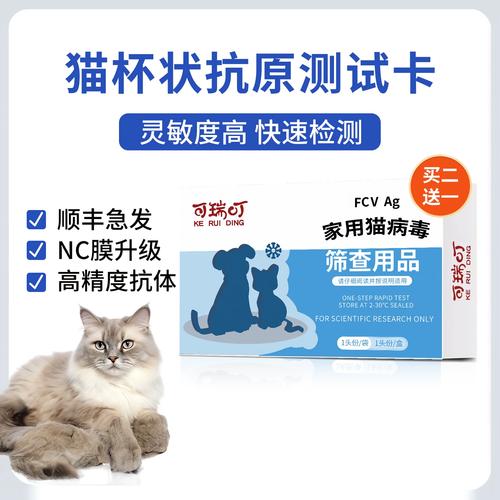 宠物医院猫杯状病毒检测试纸实拍图