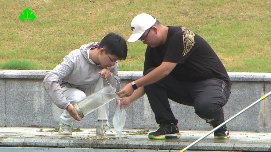 小学生独自在河边用试纸检测水质