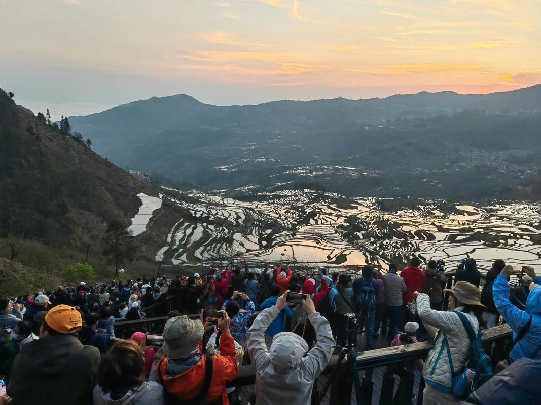 云南元阳梯田多依树日出自驾游观景台