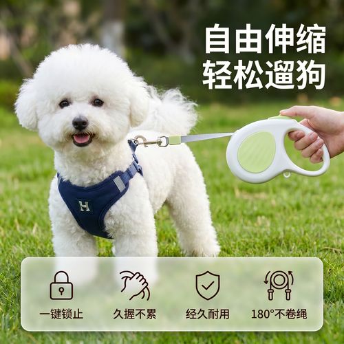 伸缩牵引绳卡滞导致狗狗肩关节受力示意图