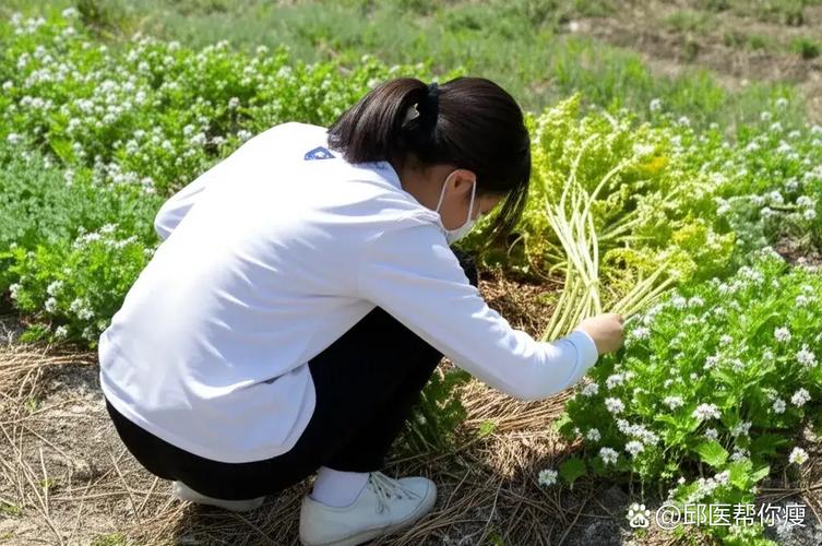 双减后周末郊外挖野菜的中小学生