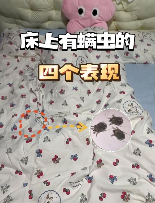 容易被忽略的藏螨小角落