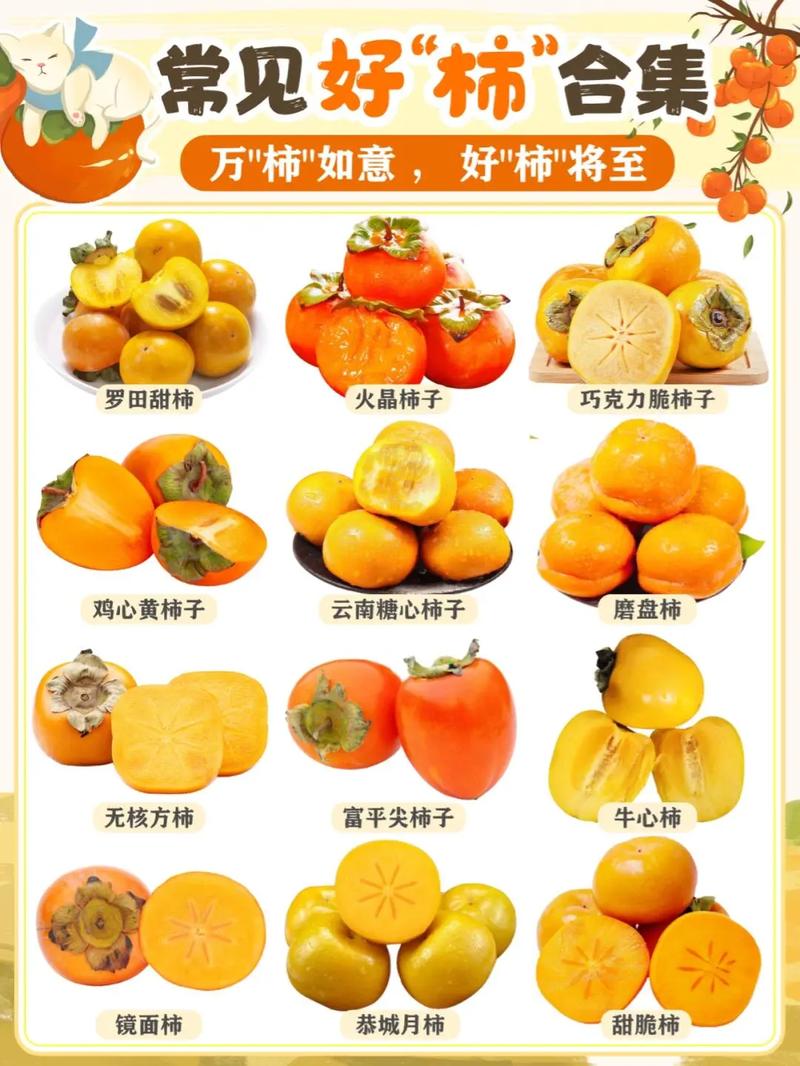 不同成熟度柿子鞣酸含量对比表
