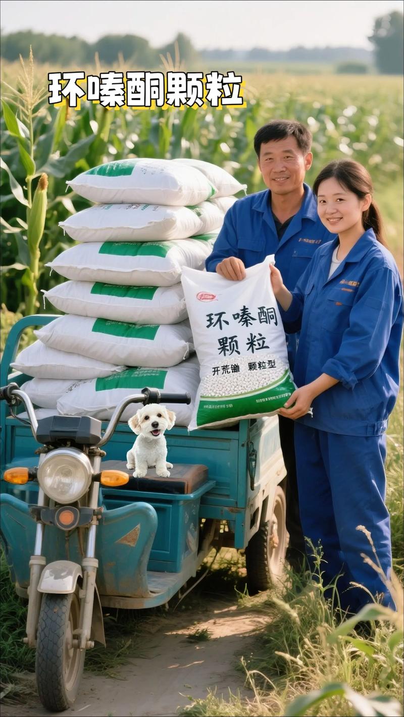 那些把根扎进产业链深处的狠角色