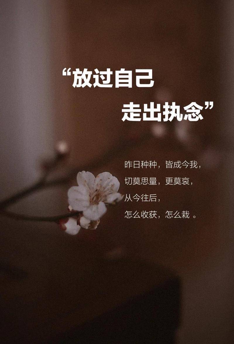 最后一段:我自己的执念