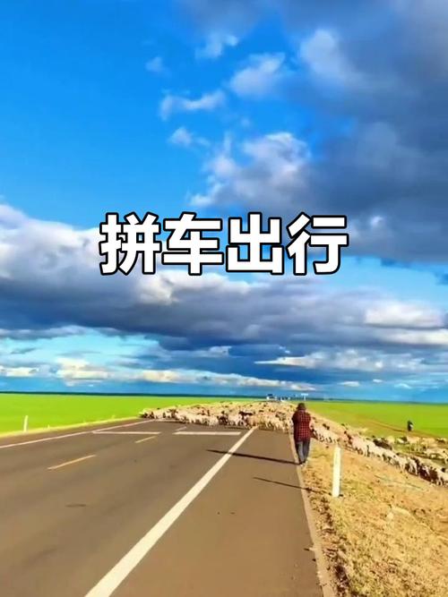 交通选择:别死磕自驾,也别随便报拼车团