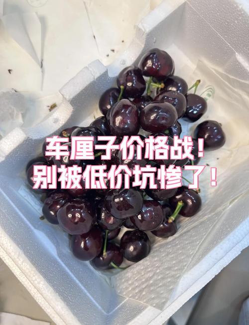 被价格战坑惨的那次