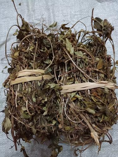 真正落地的防发花干货，每一条都试过