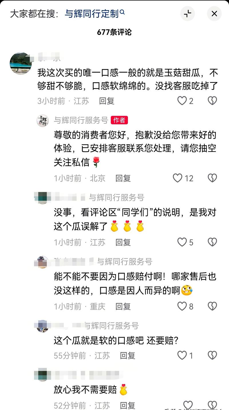 同行评议：最后的遮羞布，也快被扯烂了