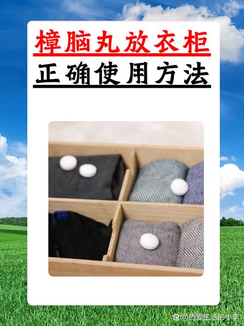 衣柜层板角落摆放的包纸樟脑丸与除湿盒