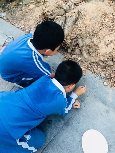 小学低年级男孩蹲在操场边凑头看蚂蚁洞