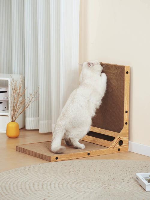 放在沙发旁的立式大猫抓板实拍