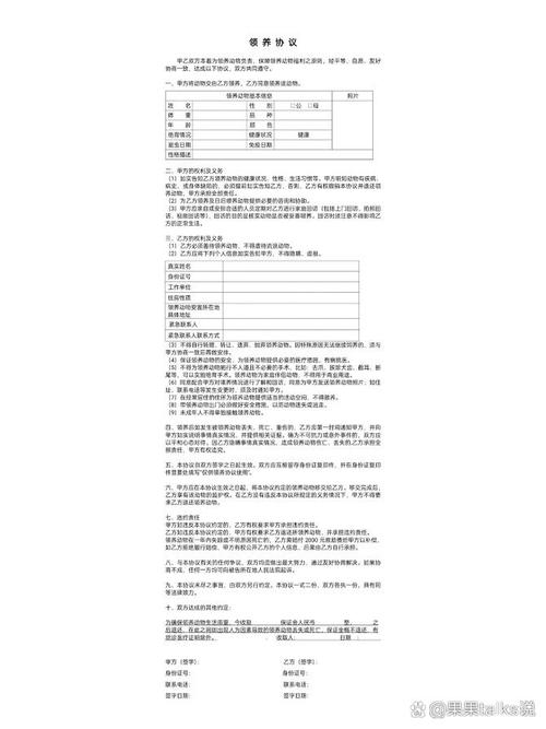 领养家庭怎么找适合自己的支持资源