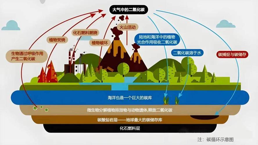 碳利用：从废气到原料的翻身仗