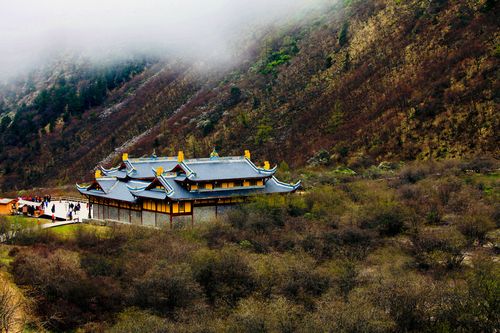 四川黄龙半山腰古寺掩映在松树林中