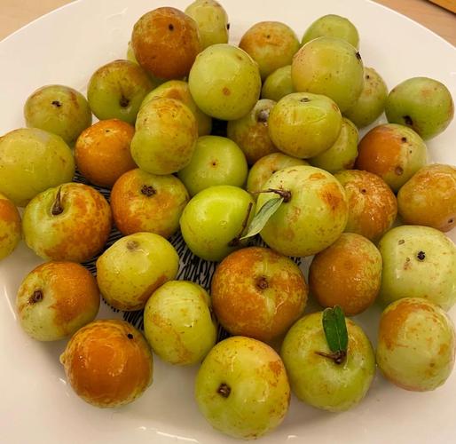 现制饮品店后厨存放的散装新鲜油柑原料