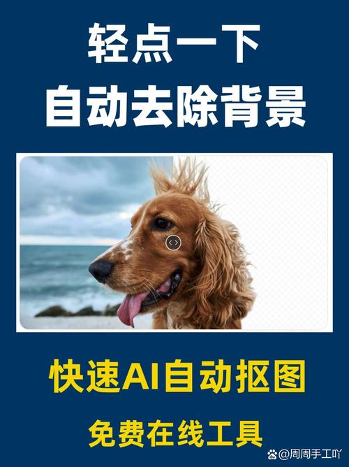 remove.bg网站一键去除图片背景示例