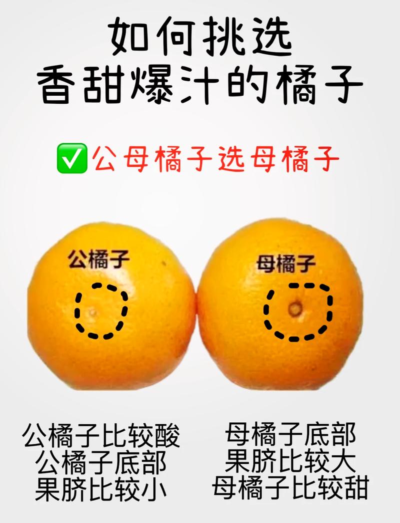 买南漳柑橘，本地人告诉你选果小技巧
