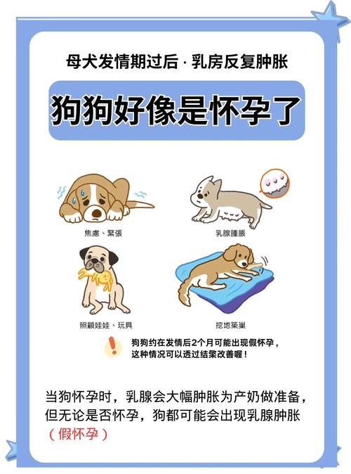 你不知道，宠物能救孕期的坏情绪