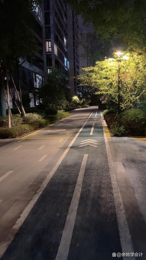 一个人深夜在小区路灯下看着手机跑步打卡轨迹