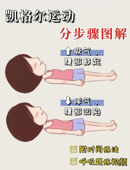 产后妈妈盆底肌凯格尔运动正确发力示意图
