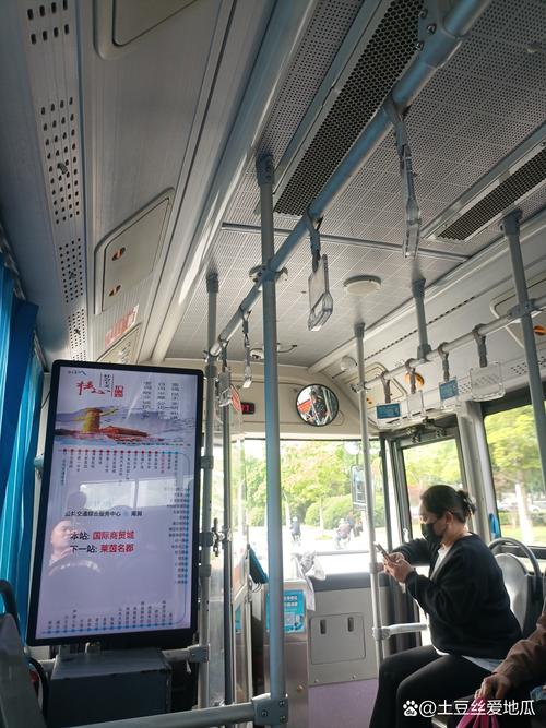 城市路边梧桐下的掉漆公交站牌