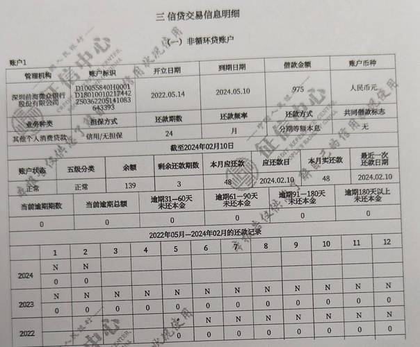 个人征信报告共同还款人负债记录页